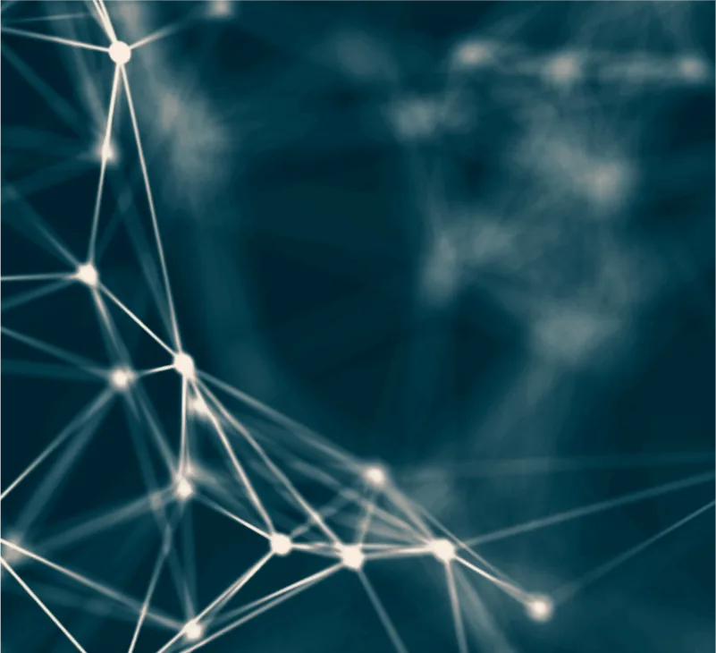 M&A Due Diligence